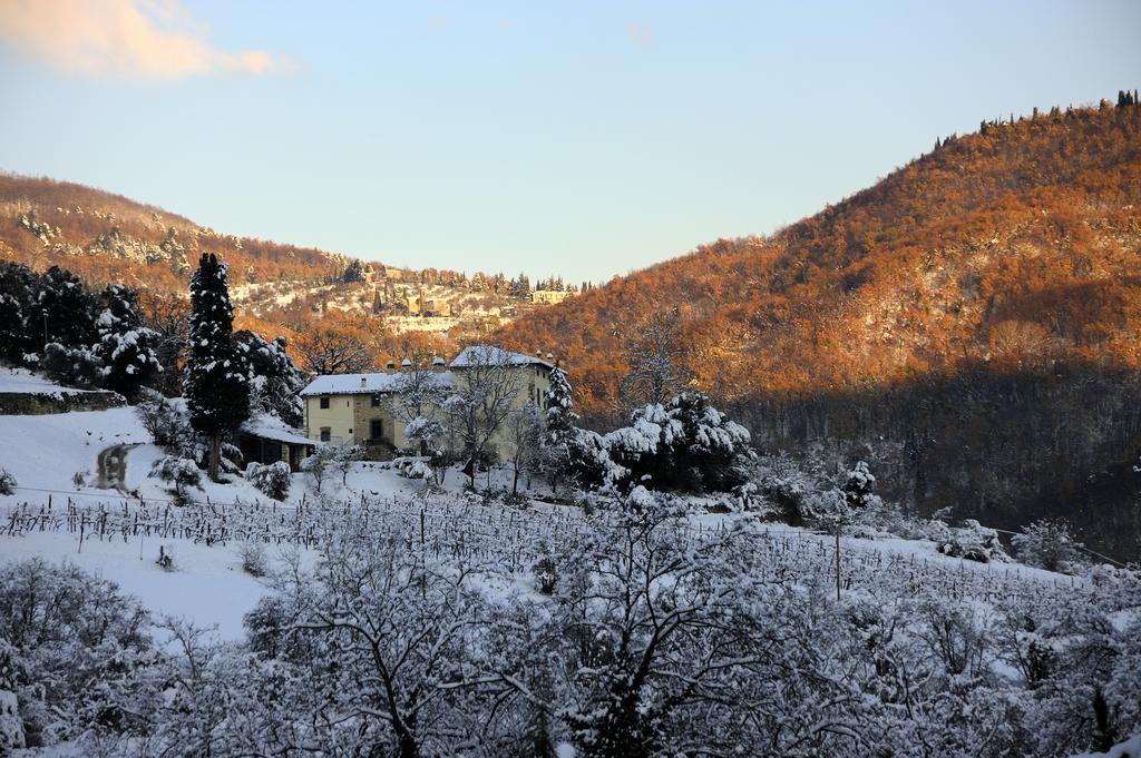 Tenuta Dei Cavalieri Molino del Piano Exterior photo